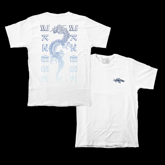 'DRAGON' GRADIENT TEE